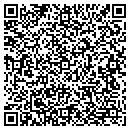 QR code with Price Sales Inc contacts