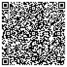 QR code with Professional Travel Inc contacts