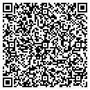 QR code with Prairie View Estates contacts