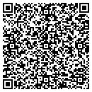 QR code with Pulte contacts
