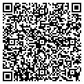 QR code with C Peck contacts