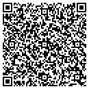 QR code with Public Storage contacts