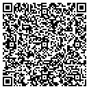 QR code with Problem Solvers contacts