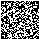 QR code with Pursuit Software Inc contacts