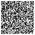 QR code with Velocity contacts