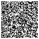 QR code with Public Storage contacts