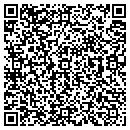 QR code with Prairie View contacts