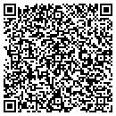 QR code with American Elite Homes contacts