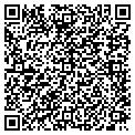 QR code with Bashas' contacts