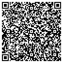 QR code with Pretty In Porcelain contacts