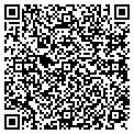 QR code with Lifenet contacts
