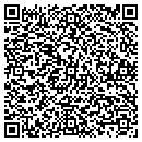 QR code with Baldwin City Library contacts