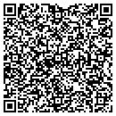 QR code with Professional Tutor contacts