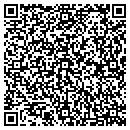 QR code with Central Crystal Inc contacts