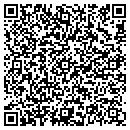 QR code with Chapin Properties contacts