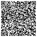 QR code with Pursuit Software contacts