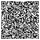 QR code with Crystal Clear Windows contacts