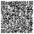 QR code with Bashas' contacts