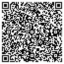 QR code with Premier Auto Salvage contacts