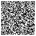 QR code with MSI contacts