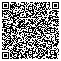 QR code with Michka contacts