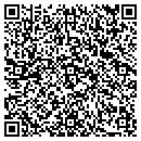 QR code with Pulse Security contacts