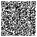 QR code with Bashas' contacts