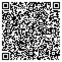 QR code with Dugout contacts