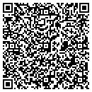 QR code with Professional Tax contacts