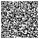 QR code with Professional Systems contacts