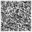 QR code with Public Storage contacts