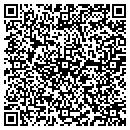 QR code with Cyclone Well Service contacts