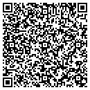 QR code with Cook Flatt & Strobel contacts