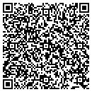 QR code with Public Storage contacts