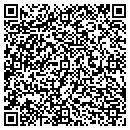 QR code with Ceals Design & Signs contacts