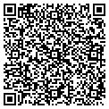 QR code with KDVV contacts