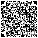 QR code with Cameo Carpet Designs contacts