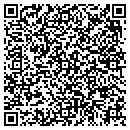 QR code with Premier Palace contacts