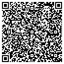 QR code with Purple Mountain Inc contacts
