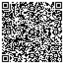 QR code with Carpet Store contacts