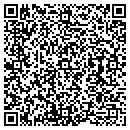 QR code with Prairie View contacts