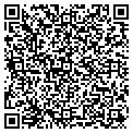 QR code with Jeff's contacts