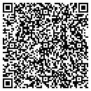 QR code with C S Computer Systems contacts