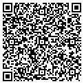 QR code with Lifeline contacts