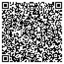 QR code with Prairie View contacts