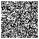 QR code with Cypress Systems Inc contacts