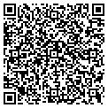 QR code with H Chek contacts