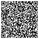 QR code with Chesnutt & Chesnutt contacts