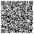 QR code with Accent contacts