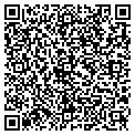 QR code with Vertex contacts